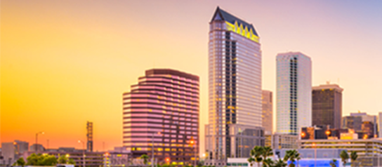 Serving Palm Harbor & Nearby Tampa Bay Communities